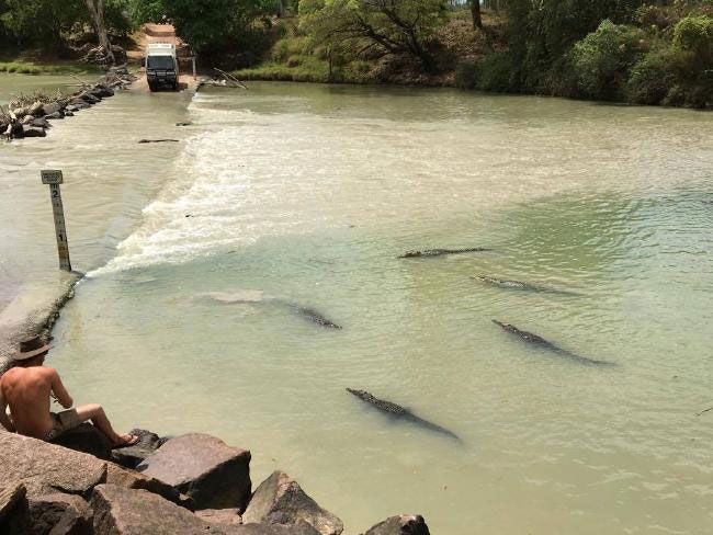 Khúc sông East Alligator tử thần nơi cá sấu lúc nhúc rình đoạt mạng người
