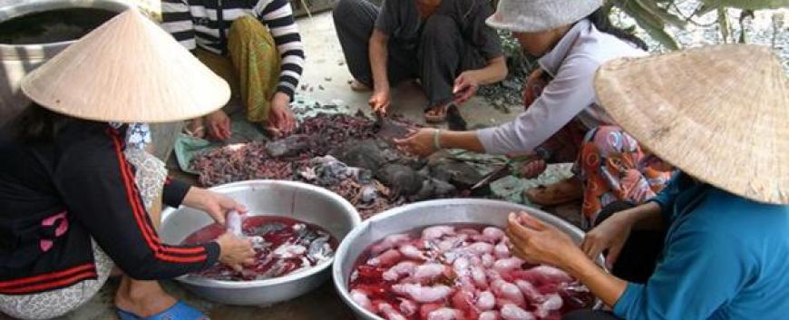 Chợ chuột ở cửa khẩu Khánh Bình - An Phú, An Giang