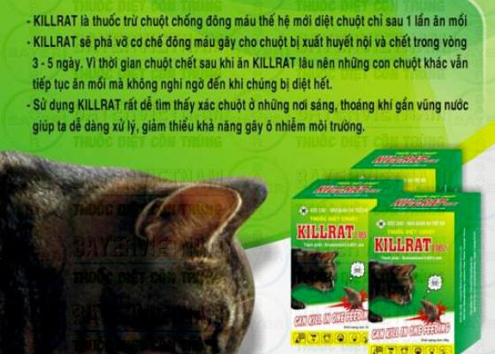 Cung cấp sỉ/ lẻ thuốc diệt chuột KILLRAT tại quận Tân Bình