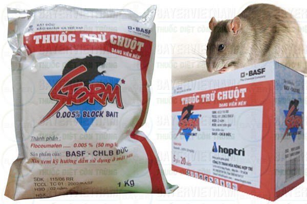 Đặc điểm lâm sàng và điều trị ngộ độc thuốc diệt chuột nhập lậu